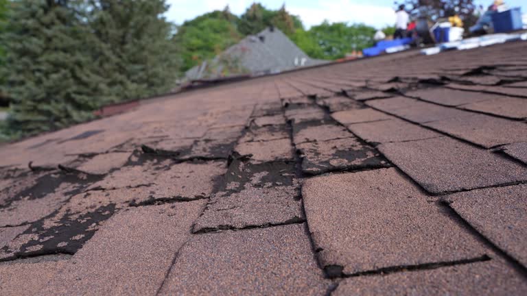 Roof Coating Services in Point Pleasant, WV