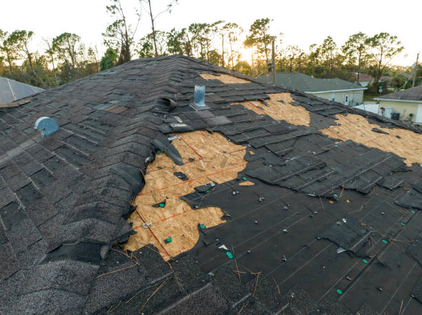 Best Roof Installation  in Point Pleasant, WV