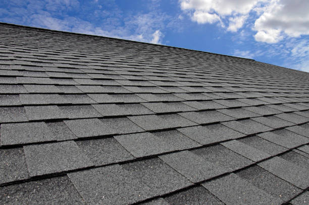 Best Gutter Installation and Repair  in Point Pleasant, WV